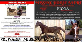 REWARD MISSING EQUINE Fiona, Lost after Coyote Attack Near Creston, NC, 28615